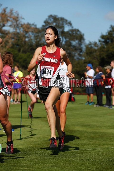 2014StanfordCollWomen-284.JPG - College race at the 2014 Stanford Cross Country Invitational, September 27, Stanford Golf Course, Stanford, California.